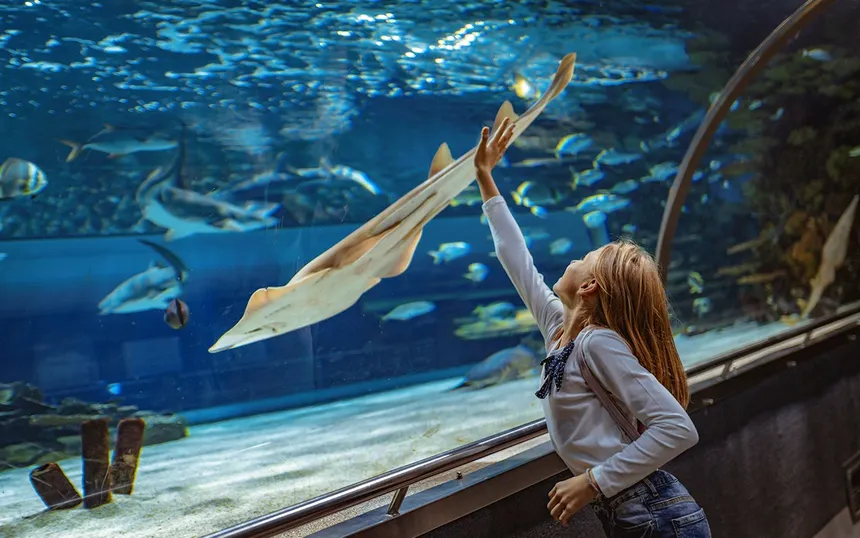 Aquarium de Barcelona
